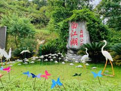 -广州白江湖森林公园