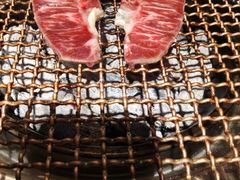 -九田家黑牛烤肉料理(珠江摩尔店)