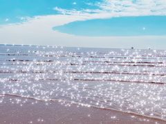 -碧海金沙