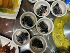 -东鸽皇(奥园·中环广场店)