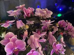 -润和养生·影音足道·按摩SPA(虹梅路店)