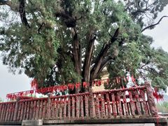 -四门塔风景区