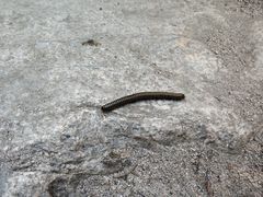 -碓臼峪自然风景区