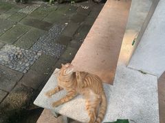 -广州兰圃