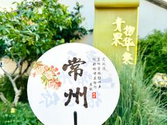 -青果巷历史文化街区