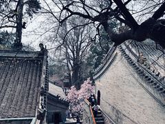 -潭柘寺景区