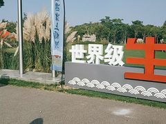 -上海长兴岛郊野公园