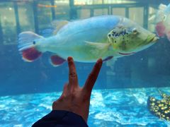 -程记私房火锅兔(总店)