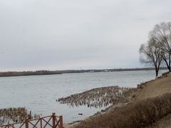-丁香湖公园
