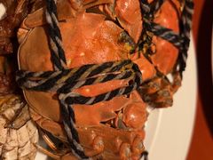 -上海明天广场JW万豪酒店