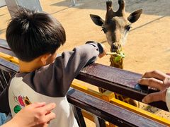 -西霞口神雕山野生动物世界