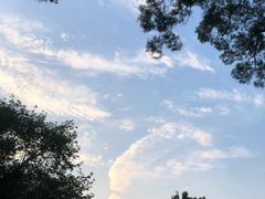 -荔枝公园(福田区)