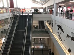 -厦门高崎国际机场-T3航站楼