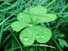 -宋庆龄幼儿园(虹梅路)