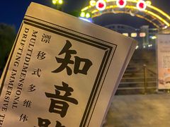 -武汉知音号