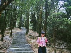 -火炉山森林公园
