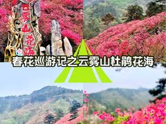 -木兰云雾山