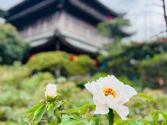 -龙华寺