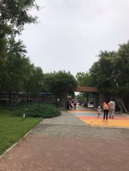 -大望京儿童游乐场