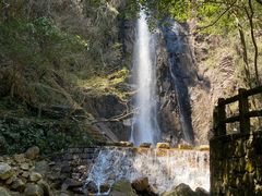 -姑婆山旅游区