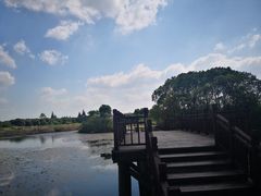 -梁鸿国家湿地公园