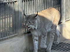 -石家庄市动物园