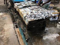 -尼甘布海鲜市场