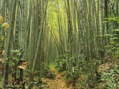 -鸡枕山