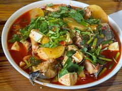 酸辣桂花鱼-阿葉农家饭店