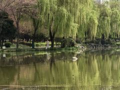 -木塔寺遗址生态公园