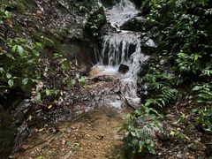 -莫里热带雨林景区