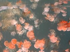 -南京金牛湖风景区