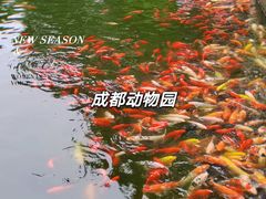 -成都动物园