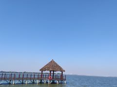 -瑶湖郊野森林公园