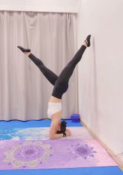 -亚太瑜伽普拉提学院