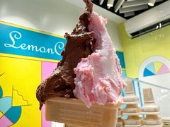 -柠檬车露(卖草地店)