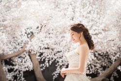 点击看大图 韩国艺匠ARTIZ STUDIO-THE QUEEN(北京店)