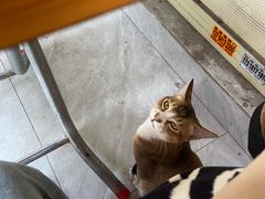 -塔拉苏咖啡(中信丹阳花园店)