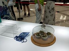 -新世界大丸百货