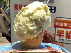 -野人先生现做冰淇淋(西安赛格店)