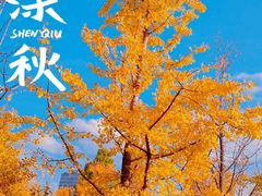 -黄兴公园