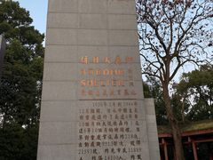 -南山植物园