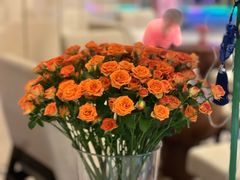 -苏州太湖假日酒店