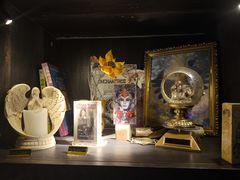 -雪灵魔法世界SHELLY’S TAROT(大良桂畔里店)