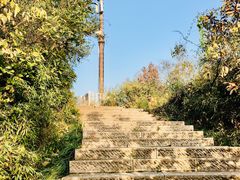 -杭州半山国家森林公园