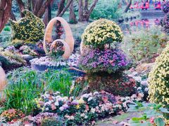 -上海共青森林公园