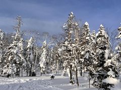 -雪谷