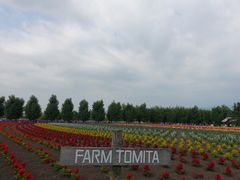 -富田农场