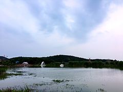 -大塘金香草谷