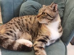 -平行世界·猫咖(首经贸店)